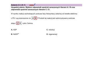 Matura z biologii odpowiedzi do ściągnięcia. PDF i JPG do pobrania