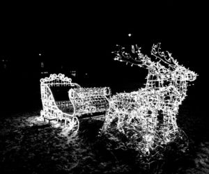 Iluminacje świąteczne w wielkopolskich miastach