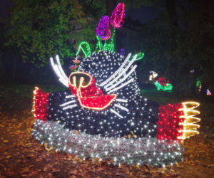 Park Iluminacji w Poznaniu