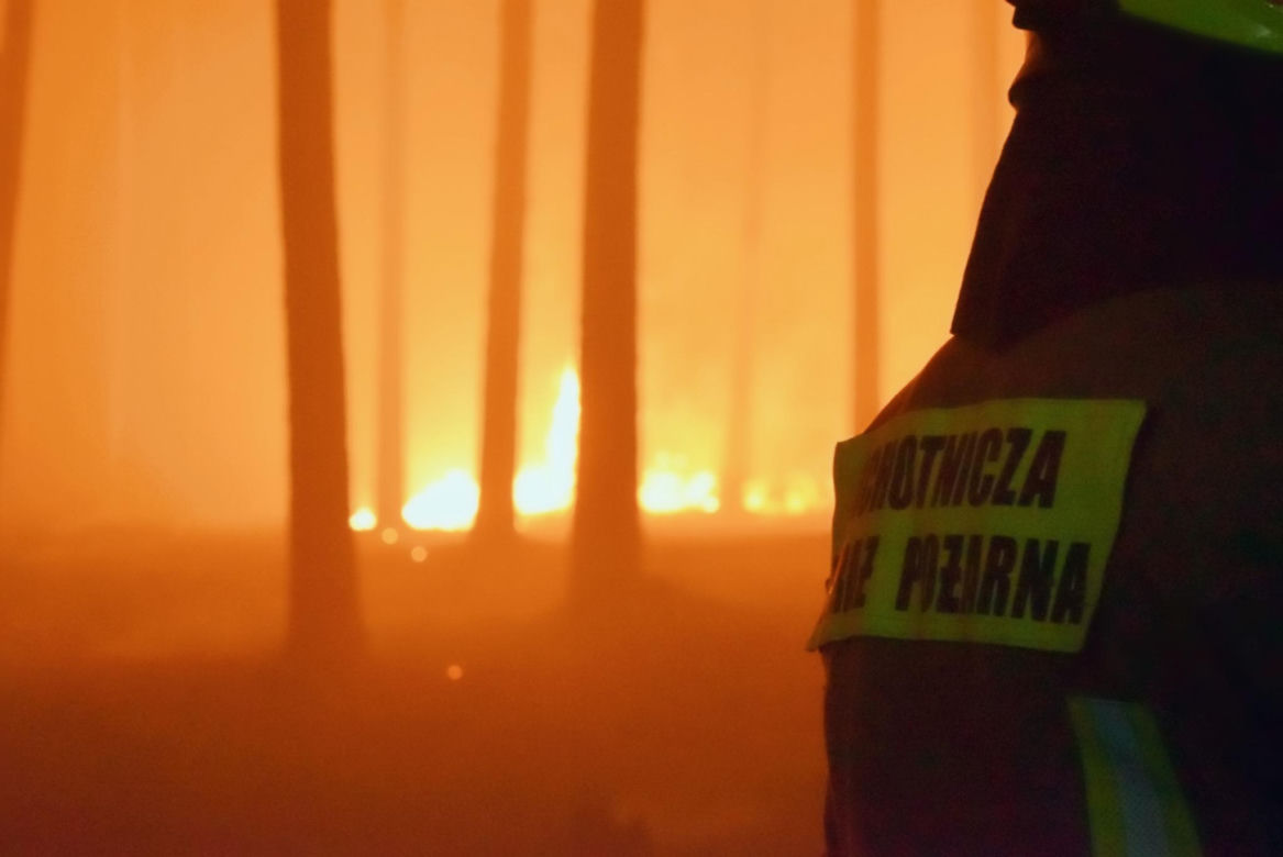 Pożar lasów na Lubelszczyźnie