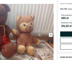 W PRL-u każde dziecko marzyło, aby znaleźć to pod choinką. Dziś za tę zabawkę można dostać krocie