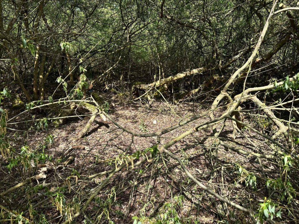 Zabił 16-letnią Maję z wyjątkowym okrucieństwem. Bartłomiej G. zatrzymany w Grecji 