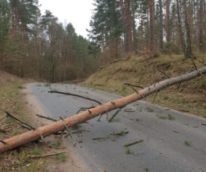 Szkody po Orkanie Eunice. Zrywało dachy, wyrywało grube drzewa, brakowało prądu