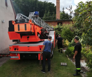 Bocian WYPADŁ ze swojego gniazda! Potrzebna była fachowa pomoc