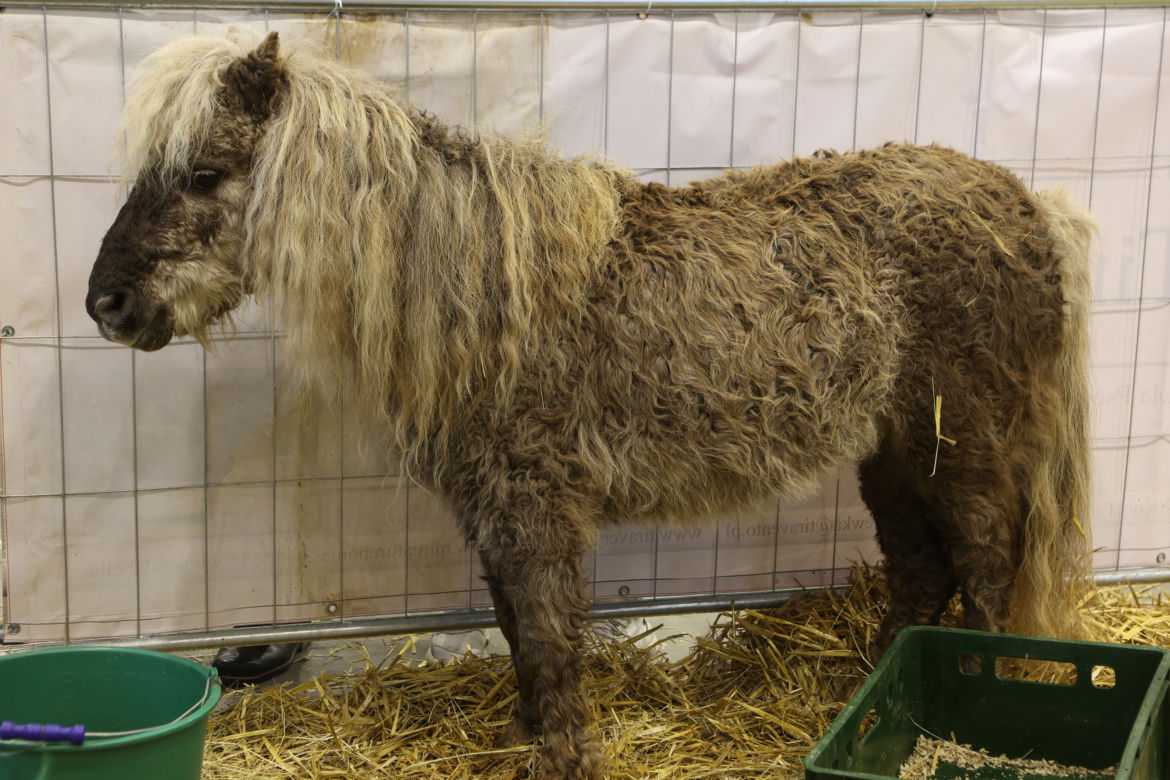 ZooPark 2023 w Lublinie przyciągnął tłumy!