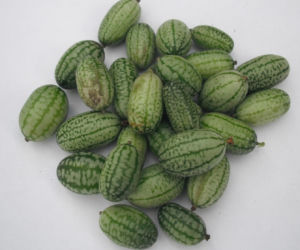 Ta roślina wygląda, jak mini arbuz. Ma szerokie zastosowanie w kuchni, a jej smak z pewnością was zaskoczy