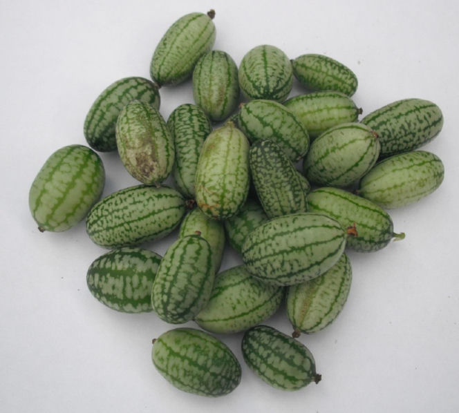 Ta roślina wygląda, jak mini arbuz. Ma szerokie zastosowanie w kuchni, a jej smak z pewnością was zaskoczy