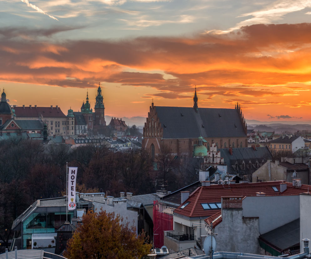 Zdjęcie dnia