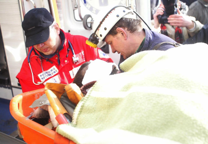Jadłem kartki z notesu i myślałem jaki dobry kotlet