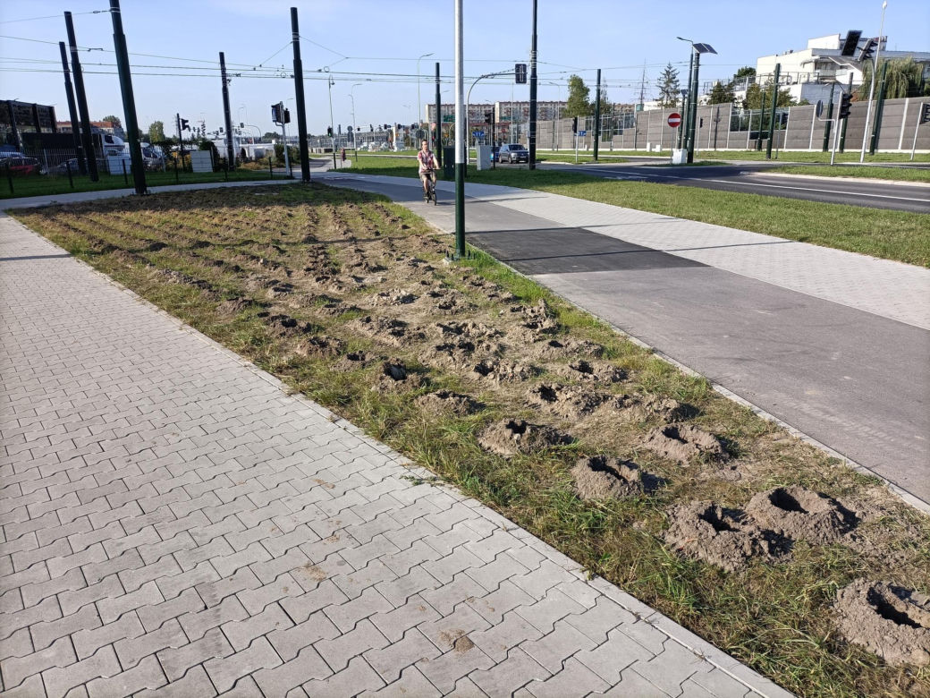 Kraków. Nasadzenia w ramach budowy KST do Górki Narodowej. Mieszkańcy krytykują: „ozdobne krzewy proszę sobie posadzić w ogródku albo na balkonie”