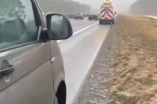 Łabędź wylądował na autostradzie i sparaliżował ruch