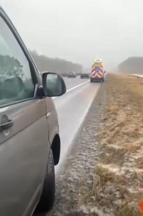 Łabędź wylądował na autostradzie i sparaliżował ruch