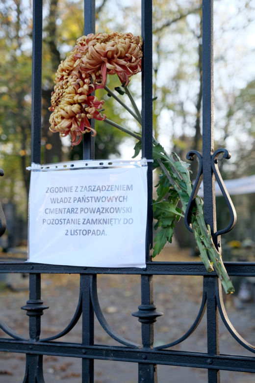 Cmentarze 1 listopada zamknięte dla niezaszczepionych. Kontrowersyjna rada eksperta. Rząd już podjął decyzję!