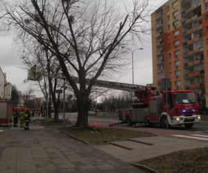 Wichura w Łódzkiem 17.02