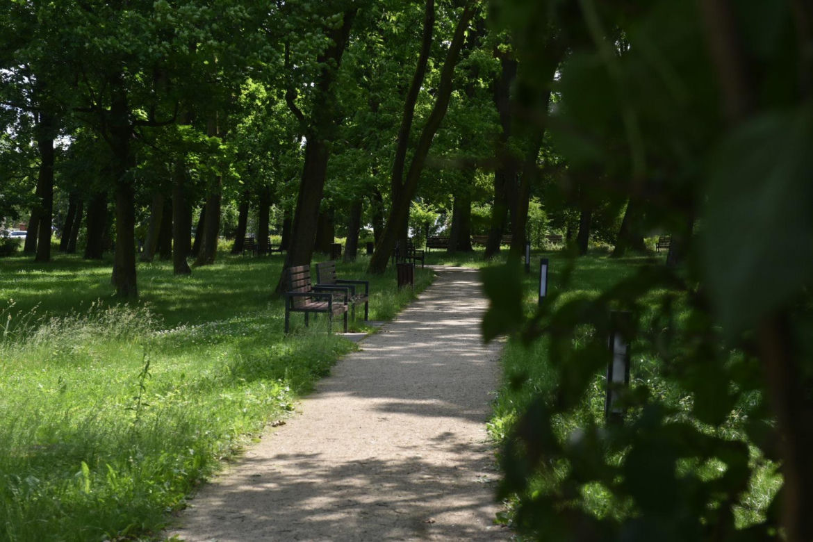 Park Glazja w Toruniu. To tutaj doszło ataku na 24-letnią kobietę