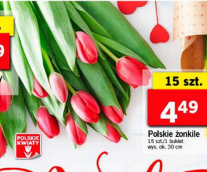 Kwiaty za grosze w Lidlu