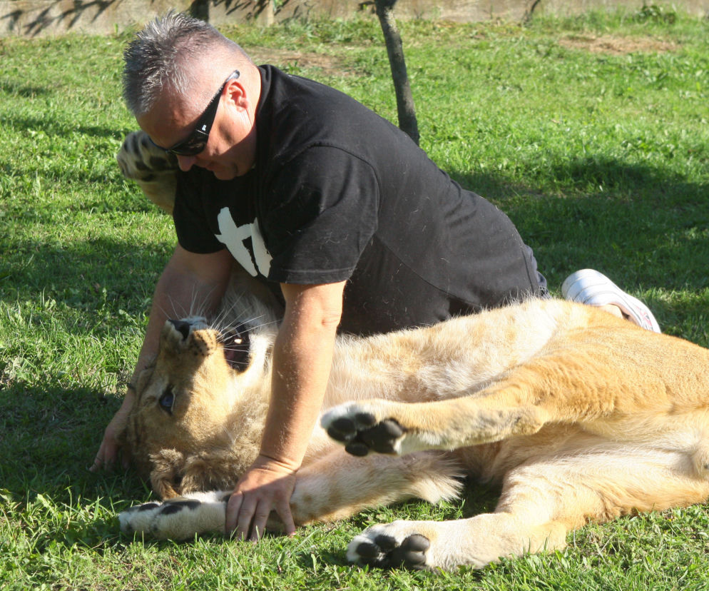 Lew Simba