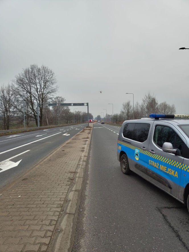 Czołowe zderzenie pojazdów na DK44