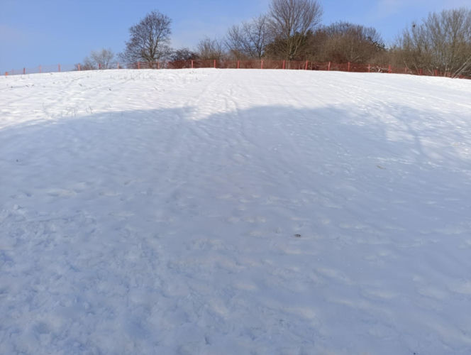 Górka Szczęśliwicka 16 stycznia 2026 roku