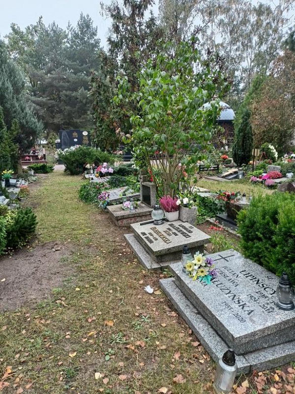 Cmentarz Junikowo Poznań