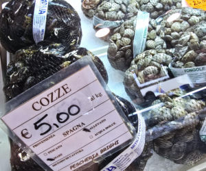 Turystyka rybacka w Cesenatico. Włoskie wybrzeże kusi polskich turystów