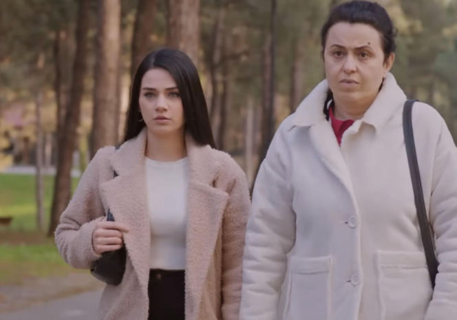 Miłość i nadzieja, odcinek 375. Cavidan, Bahar