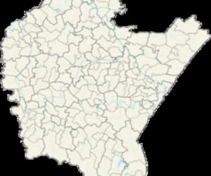 Werynia