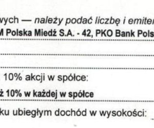Aleksandra Dulkiewicz i jej majątek