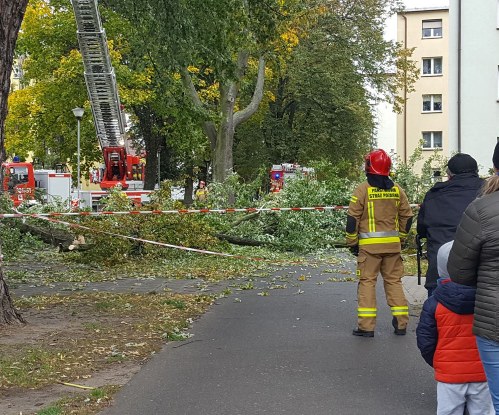 Strażacy (i piły) na pełnych obrotach