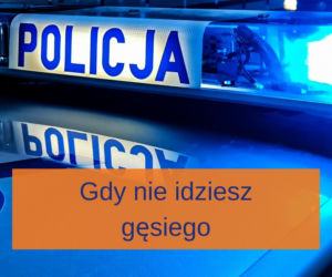 12 najdziwniejszych rzeczy, za które dostaniesz mandat. Za to SERIO mogą Cię ukarać!