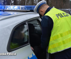NAĆPANY młodzieniec za kierownicą PASSATA