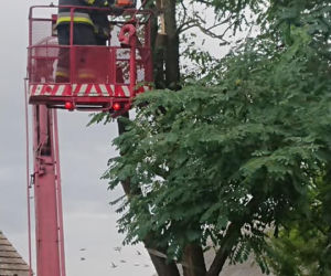 Straszna wichura przeszła przez Dolny Śląsk. Wciąż wieje!