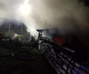 SZOK! Ktoś podpalił zagrodę? Wszystkie zwierzęta spłonęły żywcem