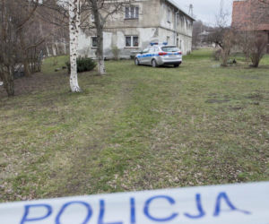 Satanista nożem i siekierą zarżnął dwie kobiety