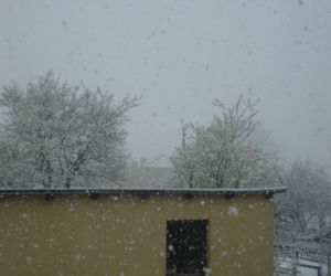 Zima w maju 2011 - zdjęcia Czytelników (Sierakowice na Pomorzu)