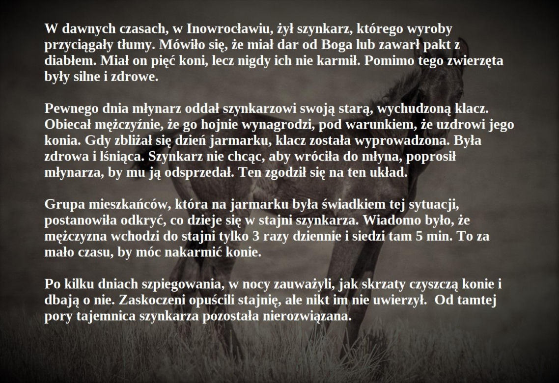 Konie i skrzaty z Inowrocławia