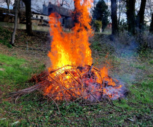 Palenie gałęzi na działce jest zakazane, ale jest jeden wyjątek