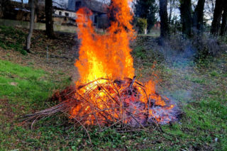 Palenie gałęzi na działce jest zakazane, ale jest jeden wyjątek