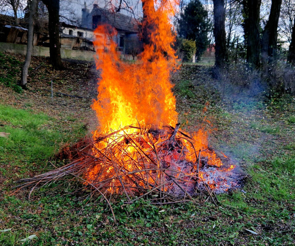 Palenie gałęzi na działce