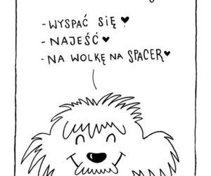 Chorzów: Psie sucharki wsparły bezdomne zwierzaki! [GALERIA]