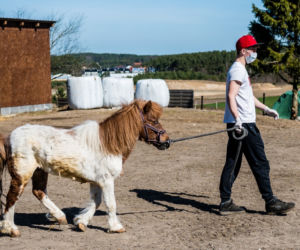 Koronawirus w Trójmieście. Zamieszkali razem ze zwierzętami w schronisku [ZDJĘCIA]