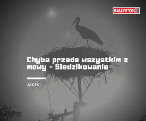 Z czego słynie woj. podlaskie? Odpowiedzi Internautów