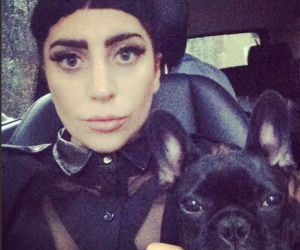 Lady Gaga przesadza w miłości do psa.