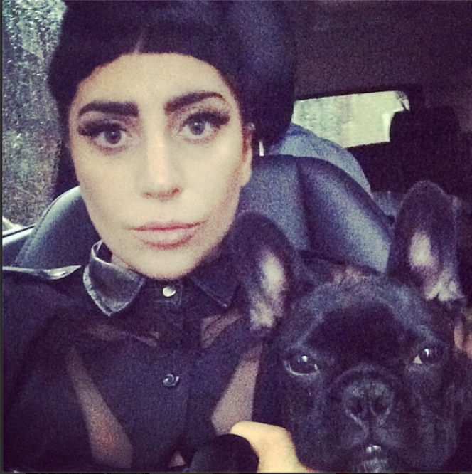 Lady Gaga przesadza w miłości do psa.