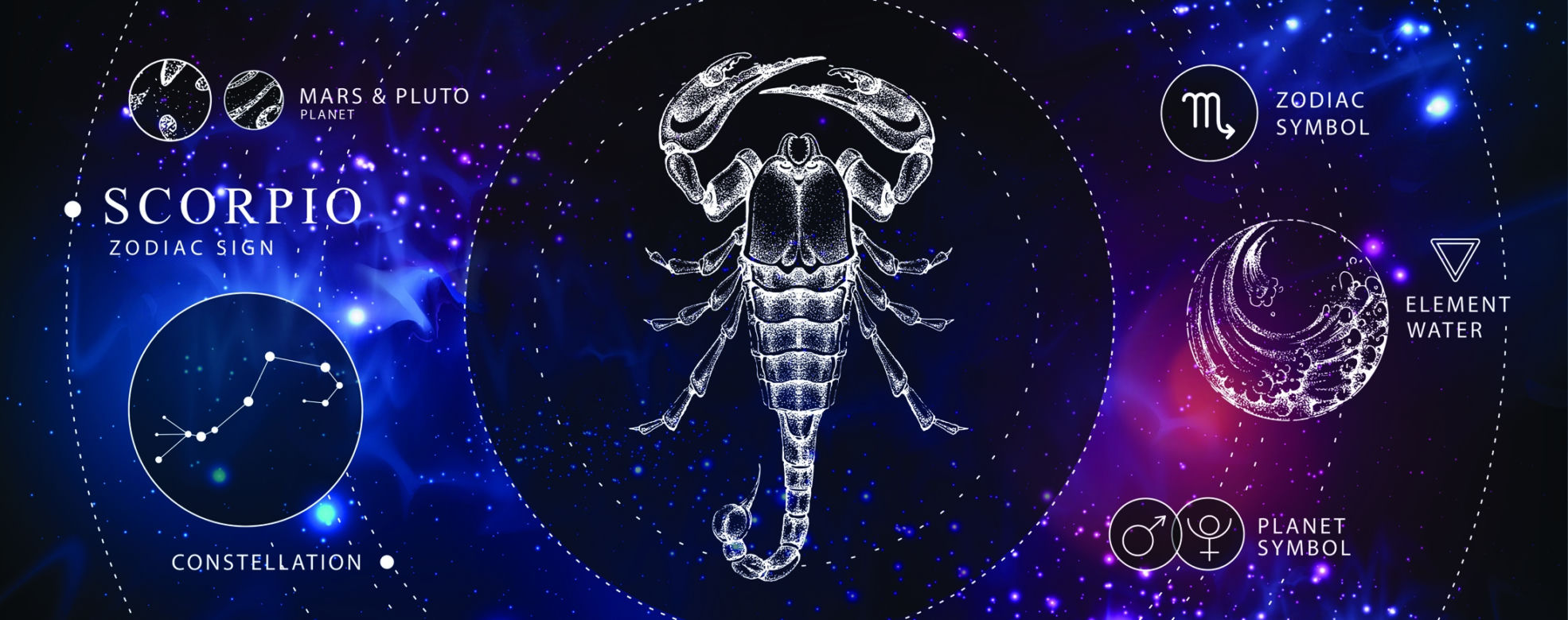 Najbardziej atrakcyjne części ciała znaków zodiaku. Krągłe pupy Koziorożca i zmysłowe usta Strzelca