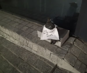 Krasnale mówią NIE! Andrzejowi Dudzie. Niezwykły happening