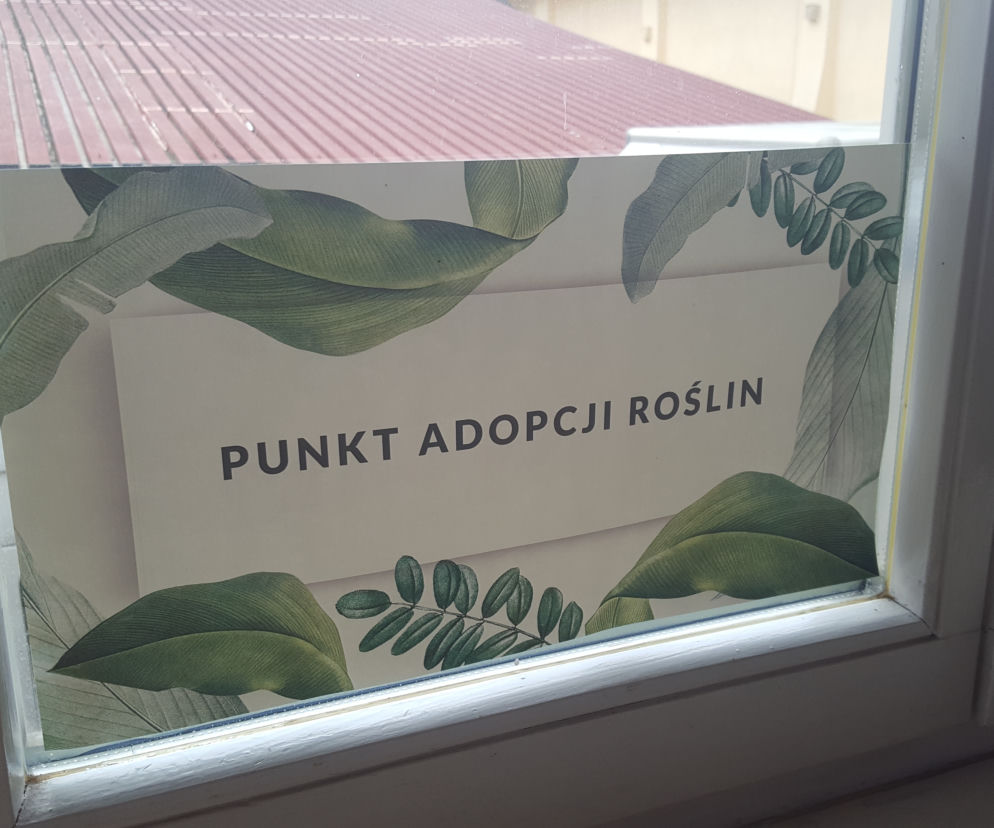 Rzeszowski Inkubator Kultury zachęca do adopcji! Chodzi o rośliny!