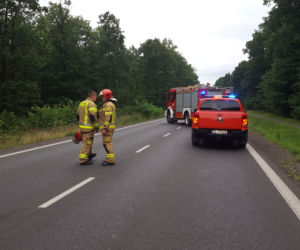 Śmiertelny wypadek na drodze Leszno-Osieczna. Nie żyją dwie osoby 