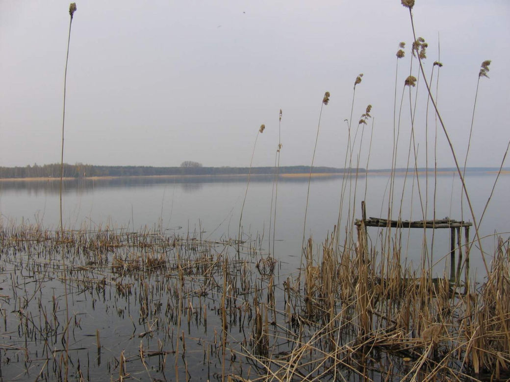 Jezioro Powidzkie