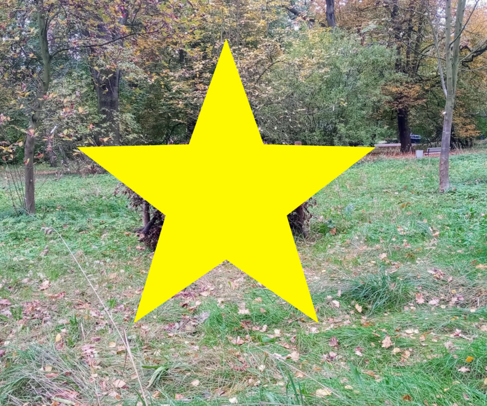 Widziałeś taką konstrukcję w parku? Nie niszcz jej!